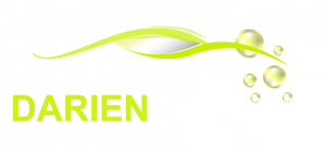 Darien Car Clinic Logo